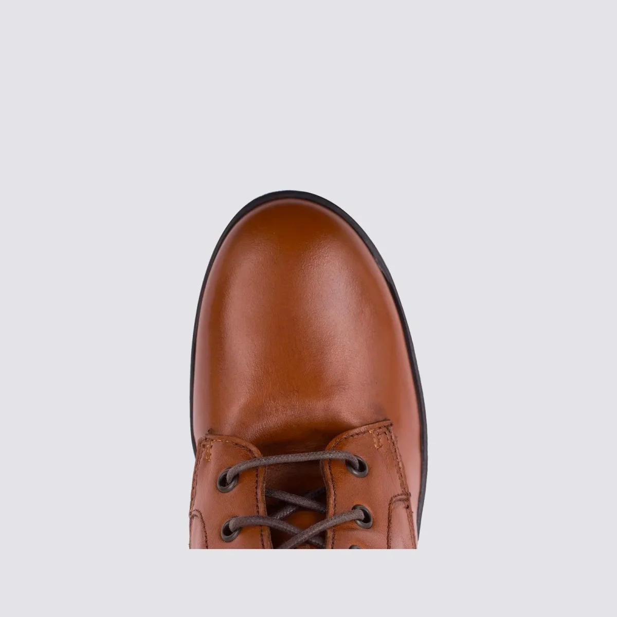 ANFIBIO IN PELLE - immagine 6