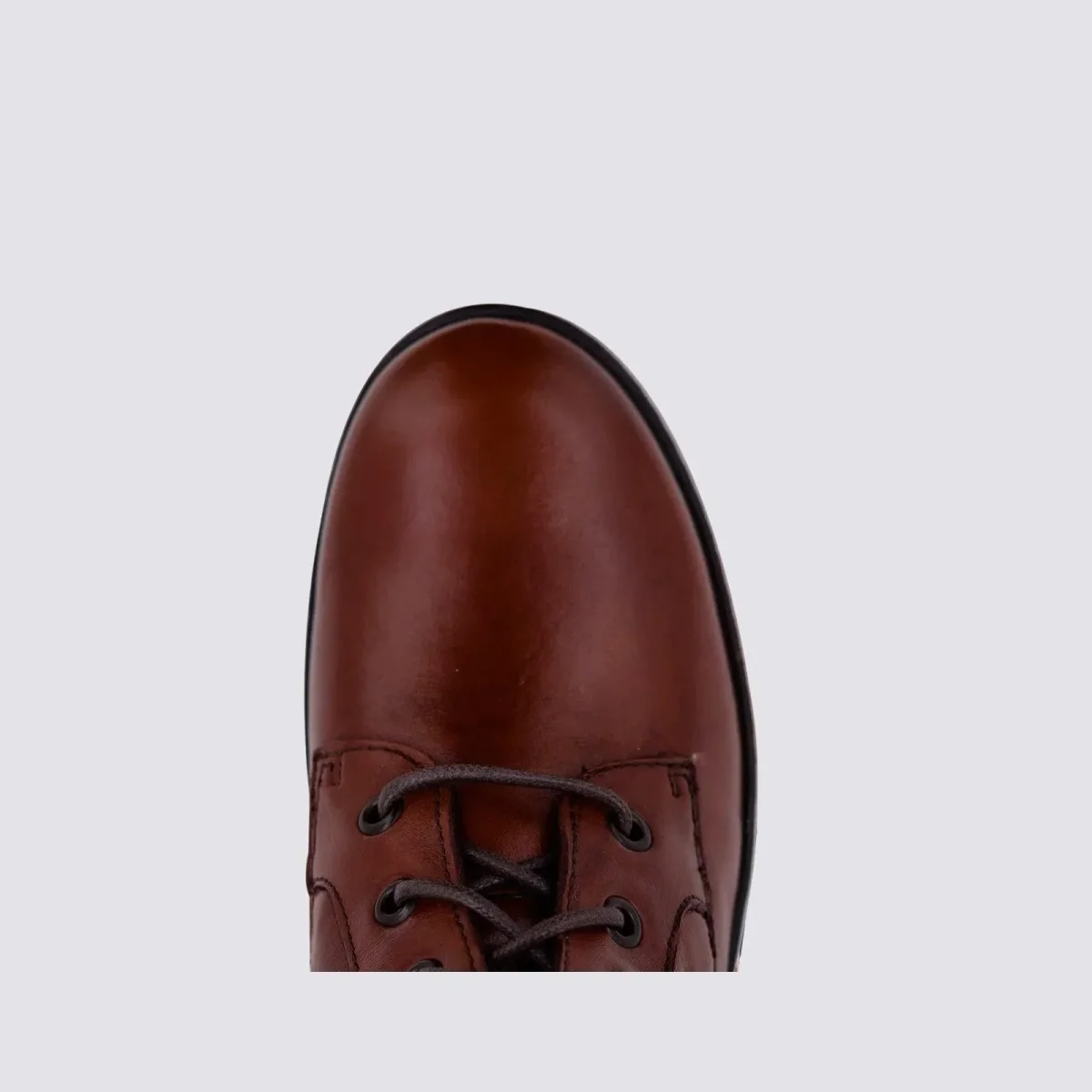 ANFIBIO IN PELLE - immagine 6