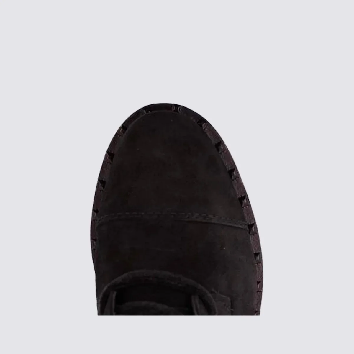 ANFIBIO - immagine 5