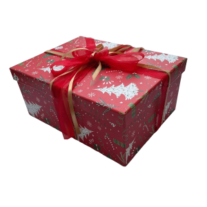 Confezione Regalo Natale