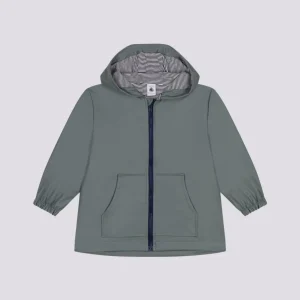 CERATA BAMBINA verde