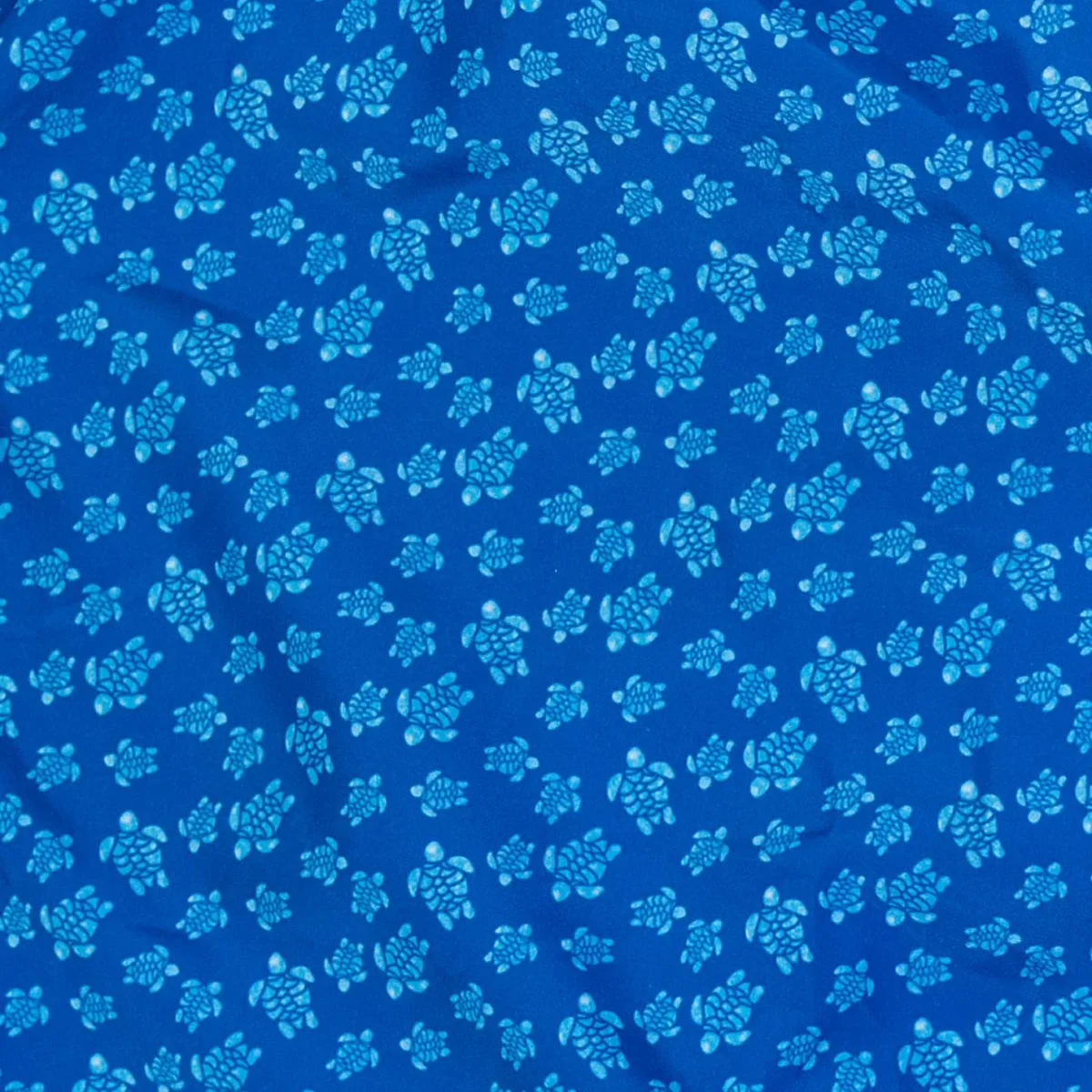 COSTUME BLU IN FANTASIA TARTARUGHE - immagine 6