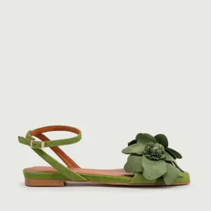 SANDALO FIORE VERDE