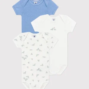 Set da 3 body a maniche corte in cotone con stampa righe e foche