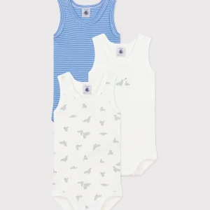 Set da 3 body senza maniche stampa foche bebè