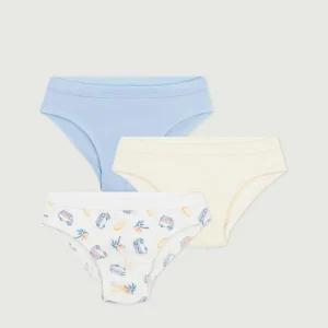 Set di 3 slip in cotone con furgoni stampati bambino