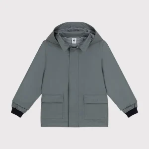 Cerata iconica verde thuya unisex