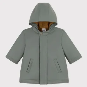 Cerata calda verde thuya