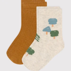 2 paia di calzini in cotone abeti neonato