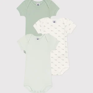 Confezione da 3 body a maniche corte con stampa balene