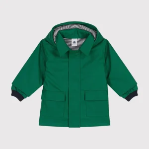 Cerata iconica unisex verde