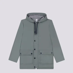 CERATA ICONICA UNISEX VERDE THUYA