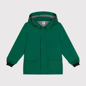 Cerata iconica unisex verde giardino