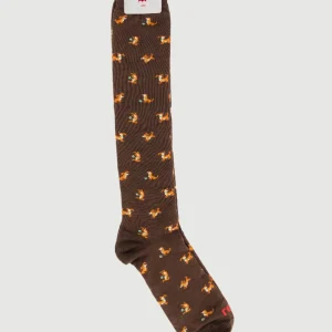 CALZA LUNGA CALDO COTONE MARRONE MOTIVO BASSOTTI